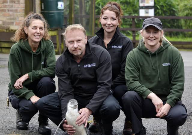 Pickle the penguin with members of staff at Sewerby Hall zoo.