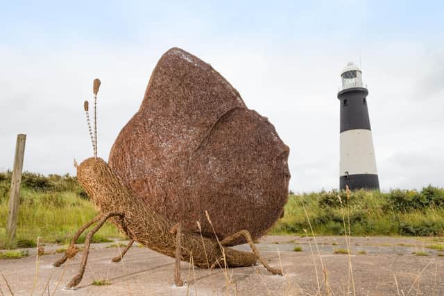 A close-up of Whitby artist Emma Stothard's butterfly sculpture, at Spurn Point.