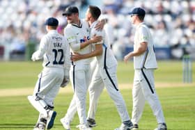 Yorkshire's Matt Fisher celebrates the wicket of Somerset's Azhar Ali with team-mate Jordan Thompson Picture by Will Palmer/SWpix.com