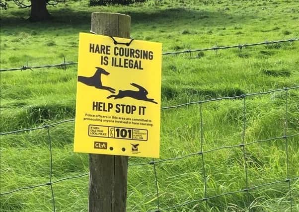 A report stated that the East Riding was targeted for hare coursing, using dogs to hunt them, from offenders from across the country.
