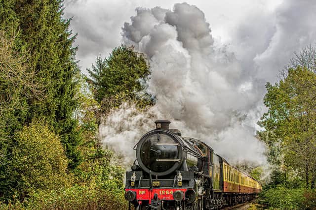 Steam train on the North Yorkshire Moors Railway.
picture: Charlotte Graham