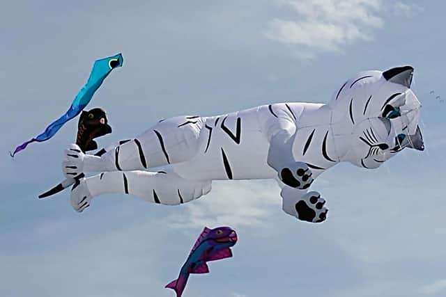 A number of internationally renowned experts returned to the area to provide spectacular displays for hundreds of spectators over the weekend. Photo by Helen Spence