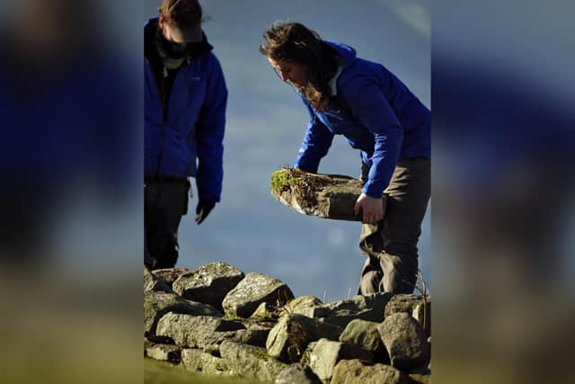Volunteer rangers dry stone walling.