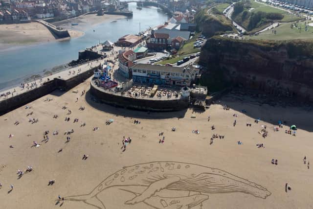 The beach art at Whitby showing a 50m humpback whale and calf filled with plastic.