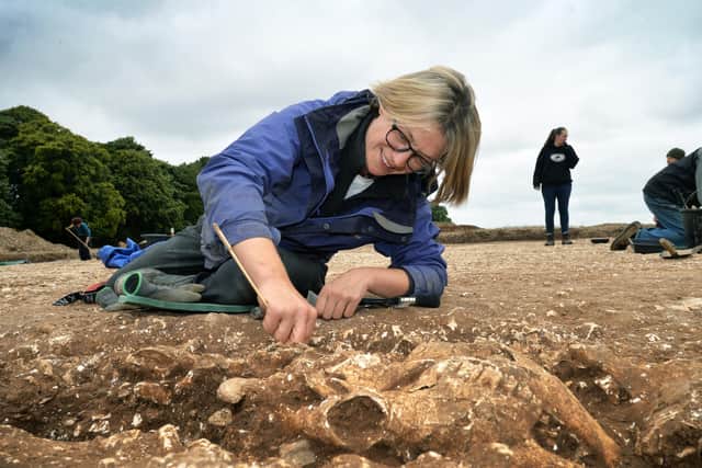 Volunteer Lucy Crosbie cleaning one of the many cow skulls placed round the shrine. Picture: Jonathan Gawthorpe
