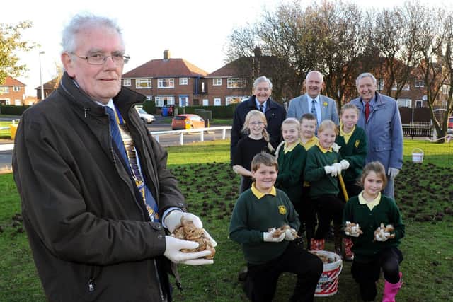 Burlington Junior School pupils from the gardening club team up with the Rotary Club of Bridlington to plant 2,000 daffodil bulbs. (NBFP PA1346-9a)