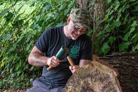 Woodcarver Allen Stichler has been back to Sewerby Hall and Gardens to complete 11 more exciting transformations of fallen trees.