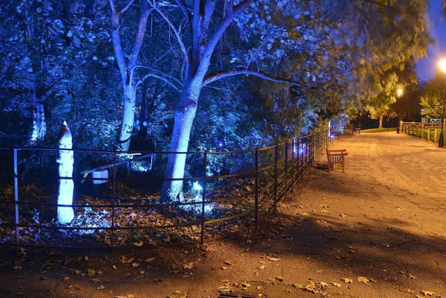 The amazing new display will get visitors in the mood for the spectacular Sewerby Winter Woodland event from 3 – 23 December, which will feature more stunning lighting in the woods, actors, a vintage fairground, and a range of stalls.