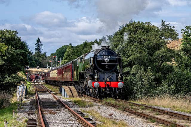 Locomotive A1 ‘Tornado’ crossing Bridge 25. Credit: Charlotte Graham