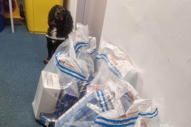 A police spokesman said numerous items seized and well sniffed out by police dog Austin who was 'the star of the operation'.