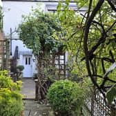 The garden area to the rear of Linskill House.