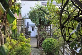 The garden area to the rear of Linskill House.