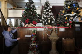 Christmas trees on display at Whitby's St Mary's Church.
195224f