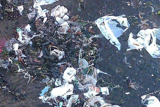 Sewage waste on the beach in Scarborough (Picture: Steve Crawford)