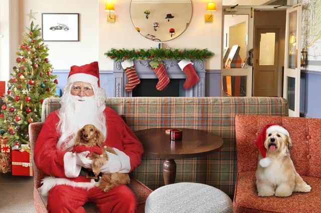 The Bike & Boot hotel are giving dogs the opportunity to meet Santa himself! (Credit: Bike & Boot)