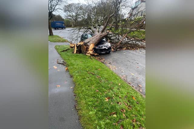 A fallen tree crushes a car on Ryndle Crescent. (Photo: Scarborough Council)