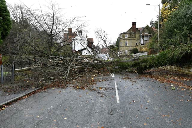 Storm Arwen caused a fallen tree to block Station Road.