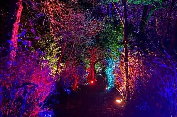 All 12,000 tickets for Sewerby Hall’s Winter Woodland have been sold.All 12,000 tickets for Sewerby Hall’s Winter Woodland have been sold.