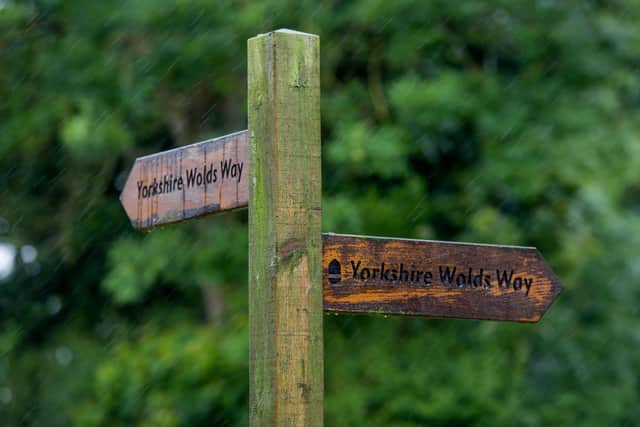 Getting some fresh air is the most popular motivating reason for walking, the new poll found.