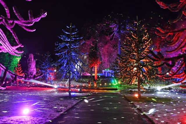 The winter wonderland event is set to brighten the lives of visitors to Sewerby Hall and Gardens.