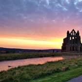Whitby Abbey, picture by Sally Michulitis.