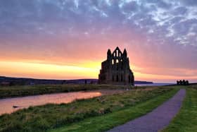 Whitby Abbey, picture by Sally Michulitis.