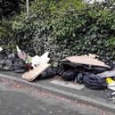 All too often the collected rubbish ends up dumped on the side of the road. Photo courtesy of East Riding of Yorkshire Council