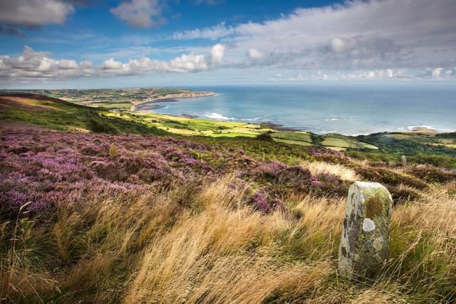From Robin Hood's Bay to Ravenscar, by Mike Kipling.