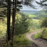 Dalby Forest