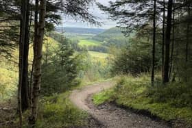 Dalby Forest