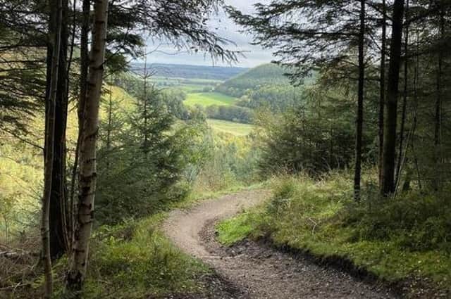 Dalby Forest