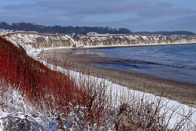 Helen Spence frames the snow-covered cliffs at Sewerby for this excellent photograph.