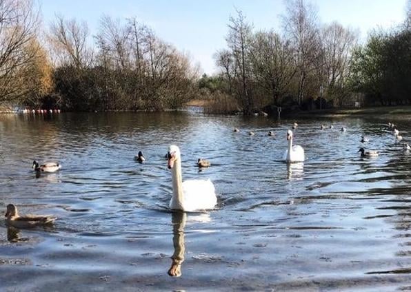 Spring has sprung at Crown Lanes, Farcet, in this photo from Norman Ringrose.