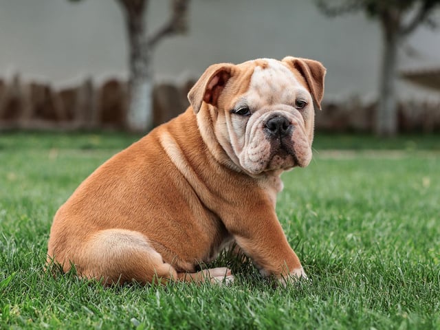 Just sitting on the grass for a while....