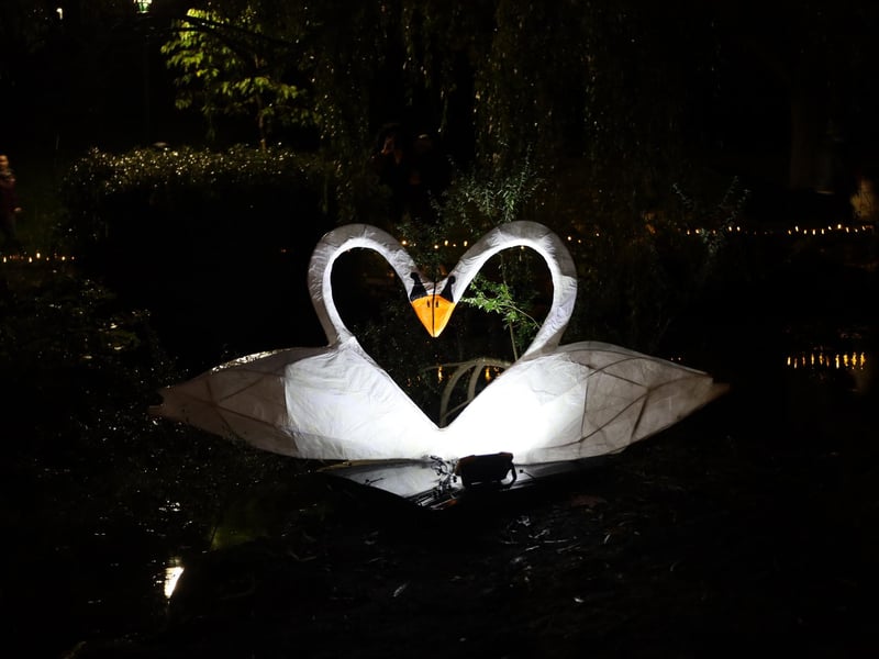 Two love struck swans.