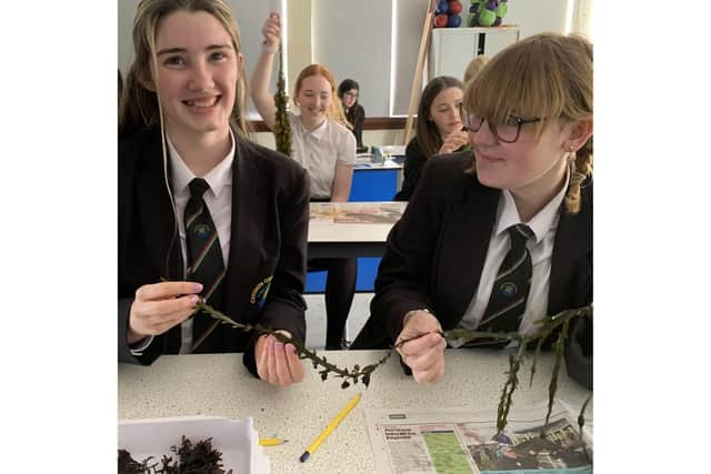 Year 9 and 10 girls from Caedmon College learn about seaweed