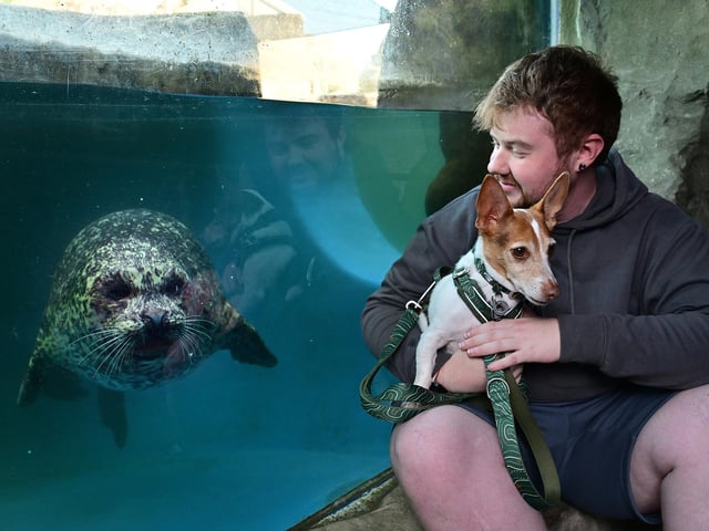 An unusual meeting.