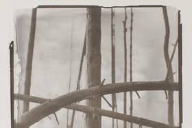 Work by local photographer and artist David Chalmers is included in Squaring the Cricle at Scarborough Art Gallery
