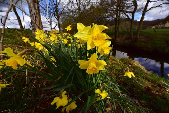 The weather promises to be changeable this Easter bank holiday weekend