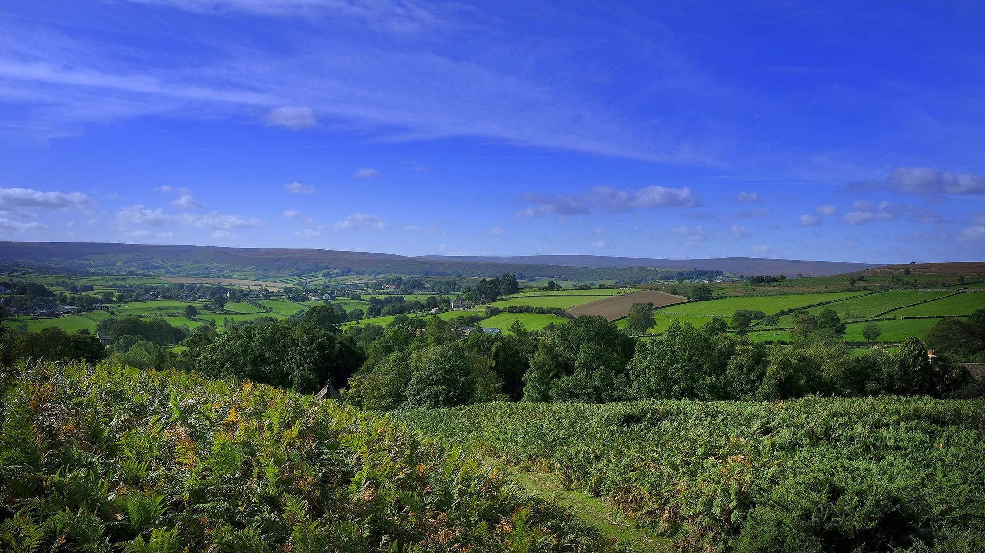 IN PICTURES: The 19 areas with the best and worst air quality on the Yorkshire coast, including Scarborough, Whitby and Bridlington - Vimarsana News