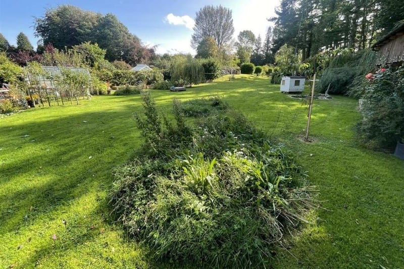 A stretch of lawned garden with established trees, plants and shrubs.