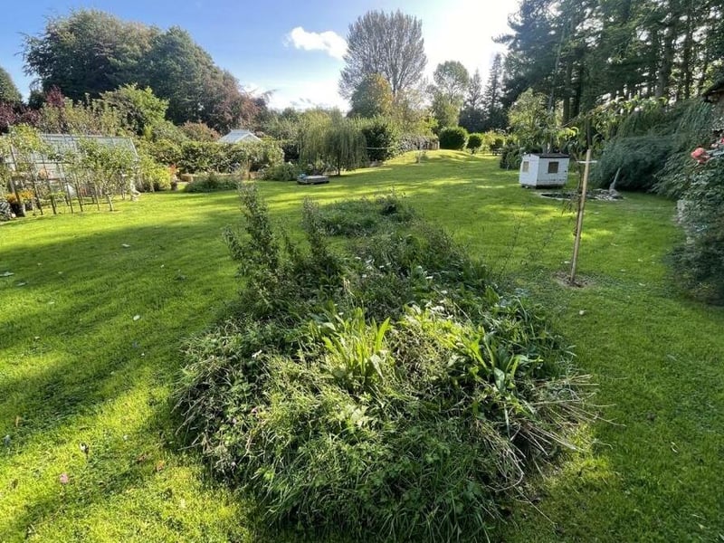 A stretch of lawned garden with established trees, plants and shrubs.