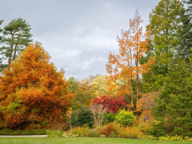 An autumn vista from Winter Walk