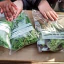The project aims to give young children hands-on experiences of growing food.