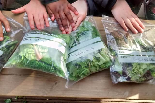 The project aims to give young children hands-on experiences of growing food.