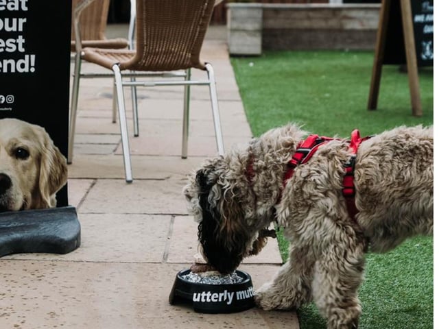 Dogs are welcome inside and out. Water bowls are provided and there are treats behind the bar.