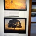 Golden images on display at Nunnington Hall's exhibition