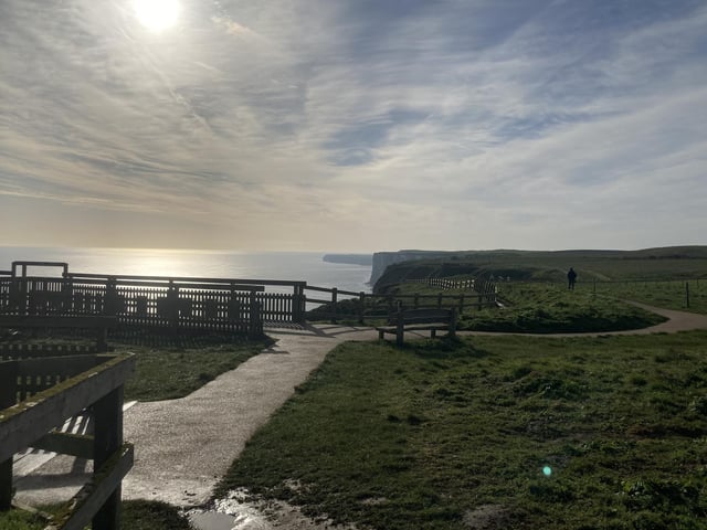 There are a total of six safe cliff-edge viewing platforms at the reserve, where you can get close-up stunning views of the birds in action.