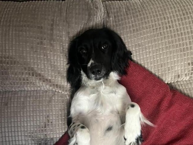 Smile and pose!