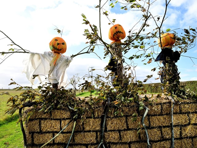 Jack-o-lanterns creating a creepy atmosphere!